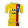 Camiseta de fútbol Crystal Palace Segunda Equipación 2021/22 - Hombre